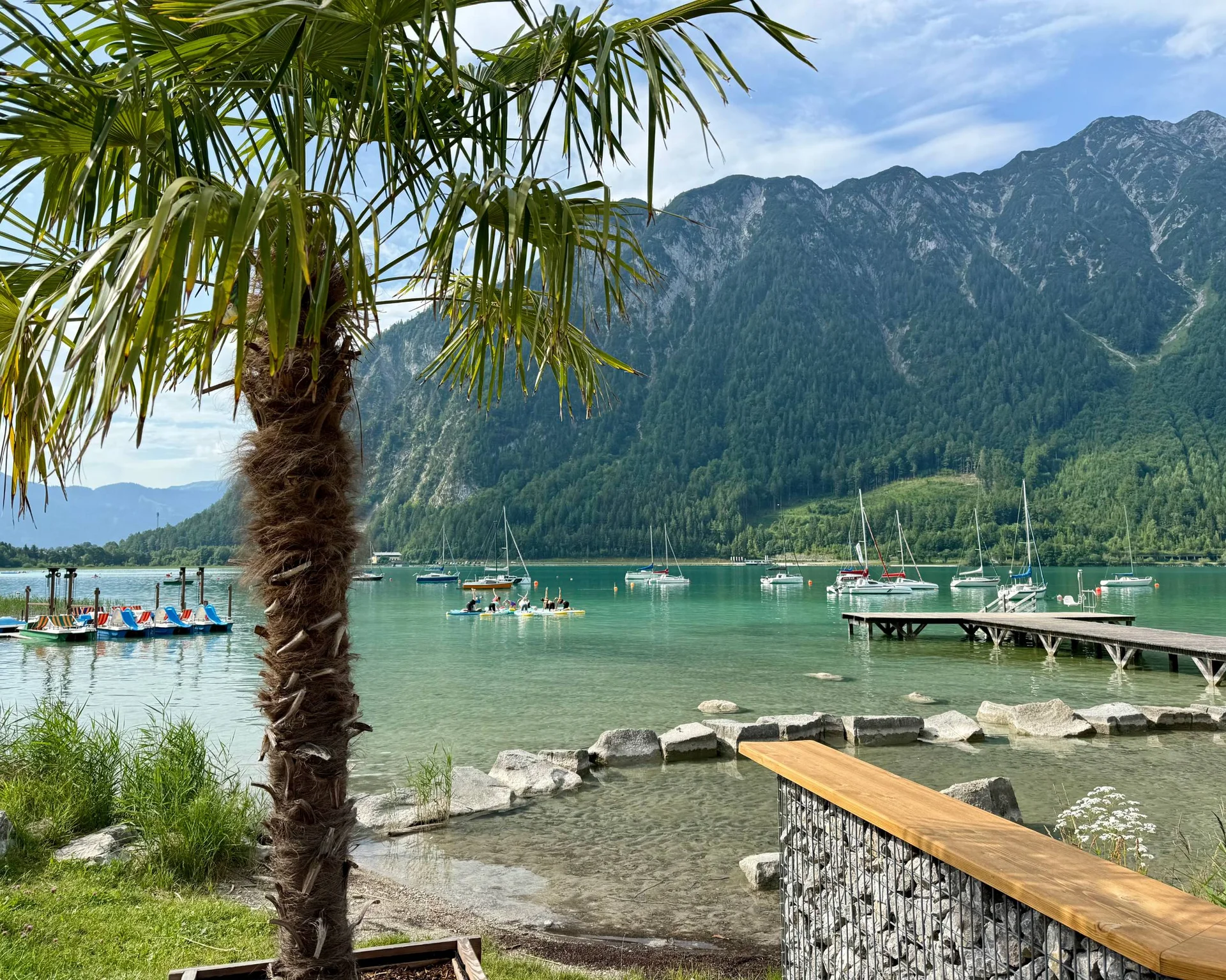 Palme am See mit Segelbooten und Bergen im Hintergrund