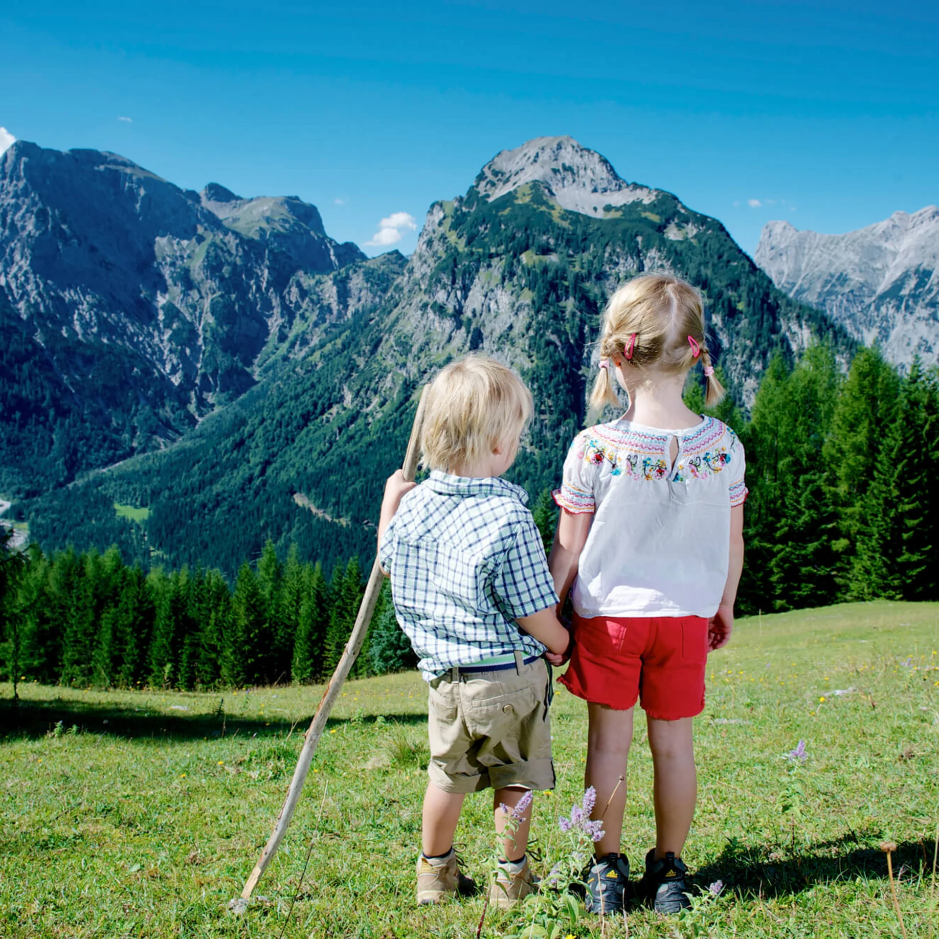 Kinder in den Alpen blicken auf Berge und Wälder unter blauem Himmel