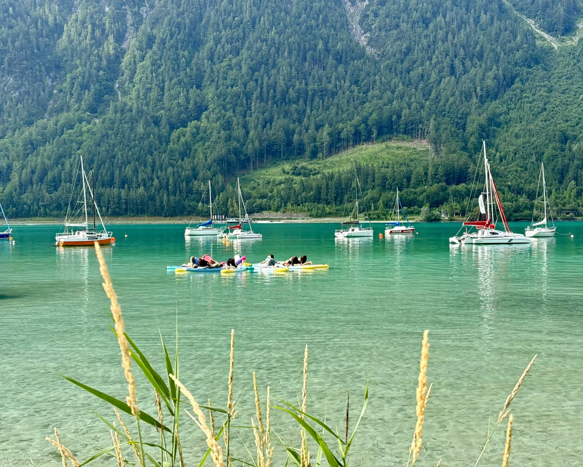 Segelboote und Menschen auf dem Wasser vor bewaldetem Berg
