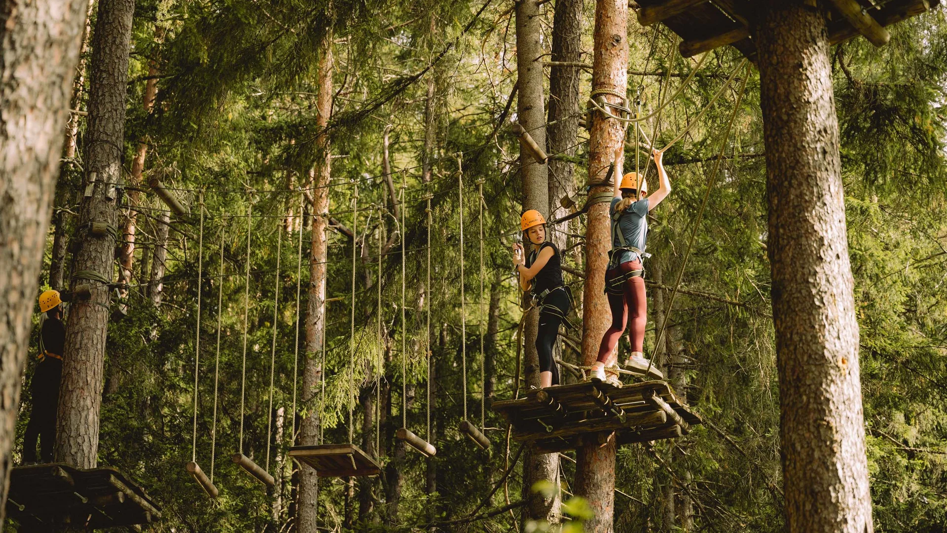 Personen beim Klettern im Hochseilgarten im Wald mit Schutzhelm und Sicherung