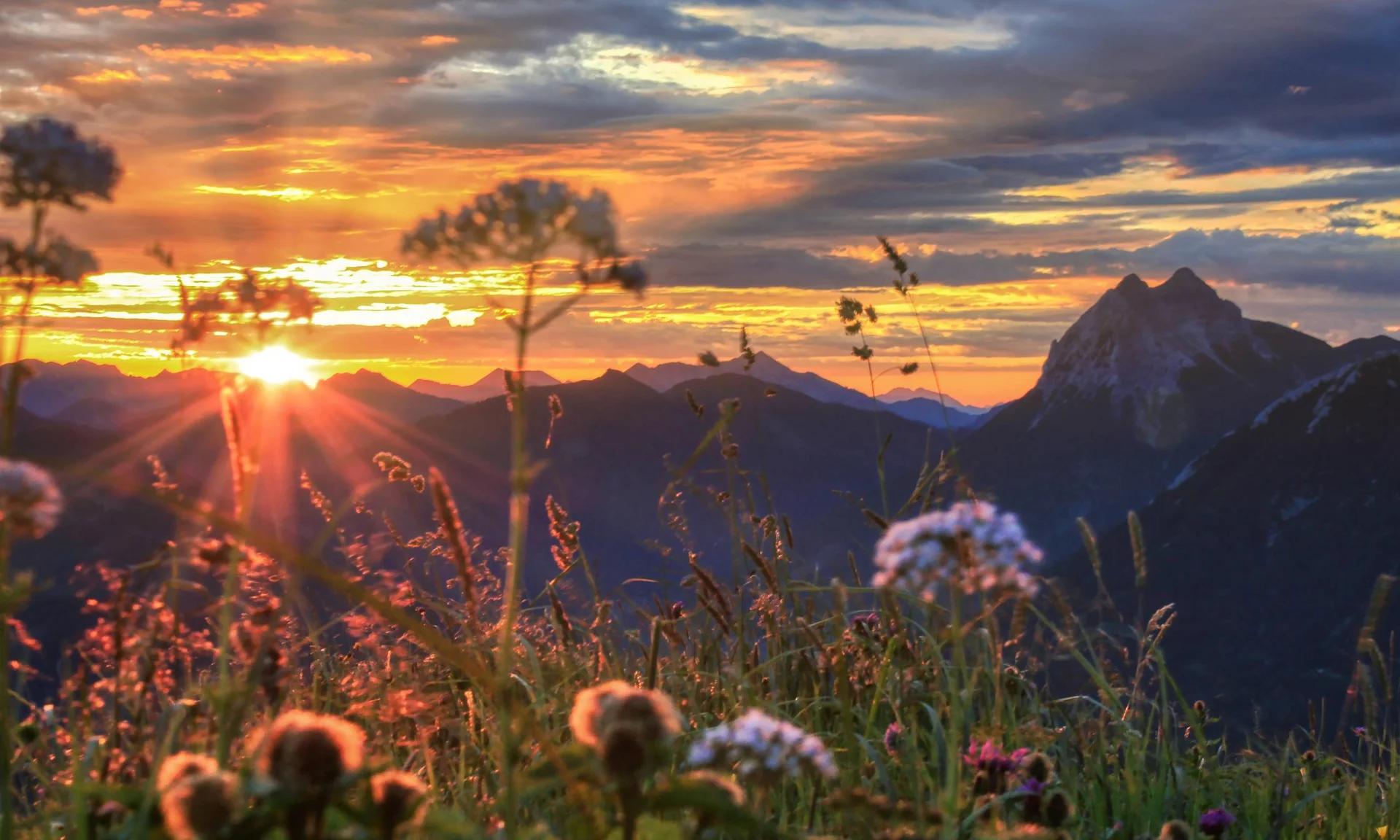 Sonnenuntergang über Bergkette mit Wildblumen im Vordergrund