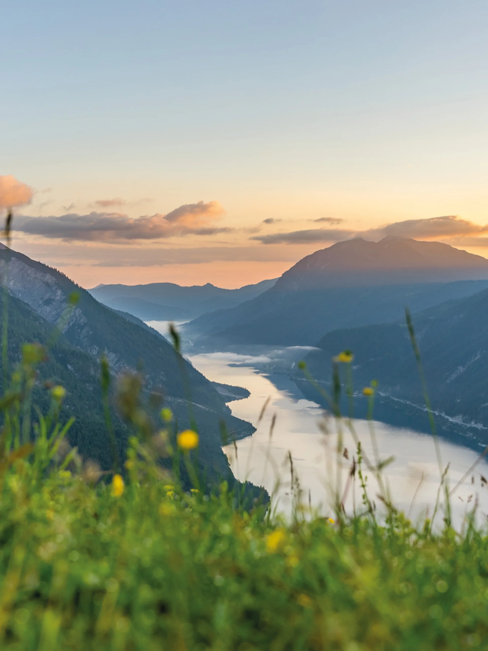 Fluss fließt durch bewaldete Berge bei Sonnenuntergang mit Wiesenblumen im Vordergrund