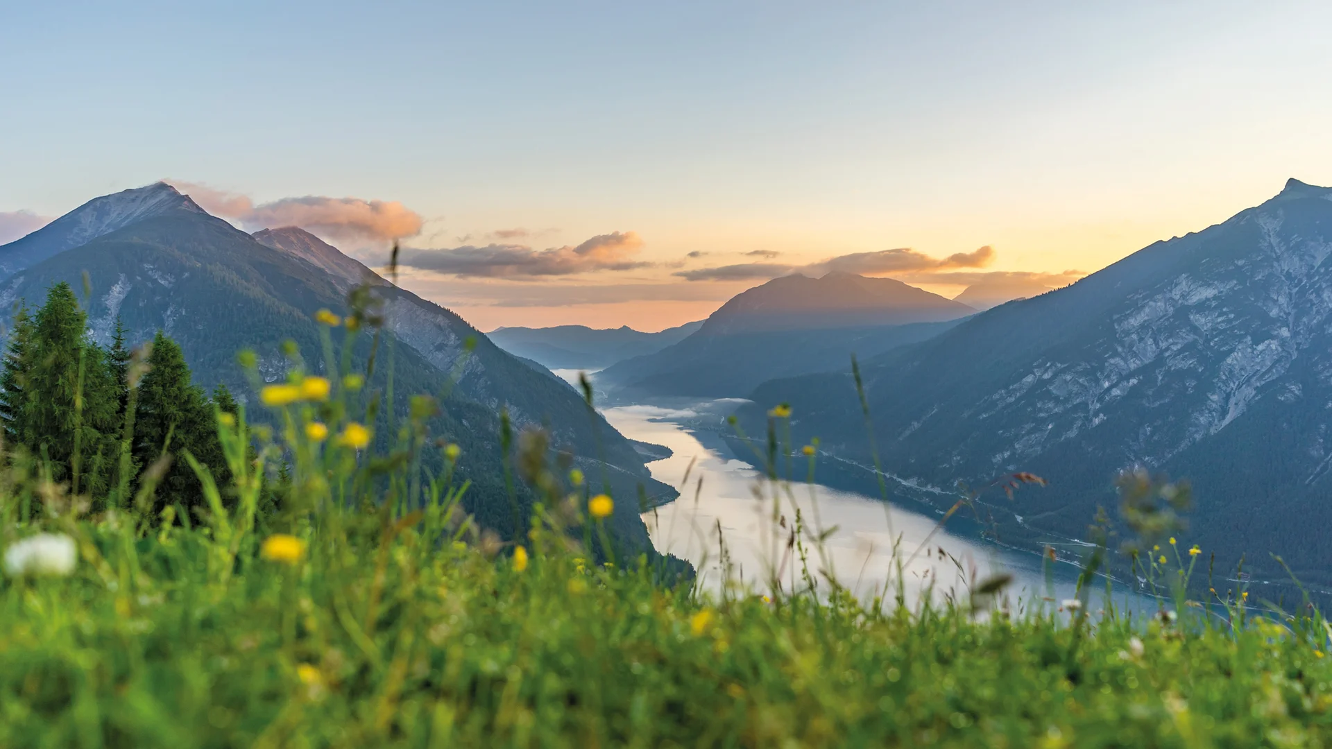 Fluss fließt durch bewaldete Berge bei Sonnenuntergang mit Wiesenblumen im Vordergrund