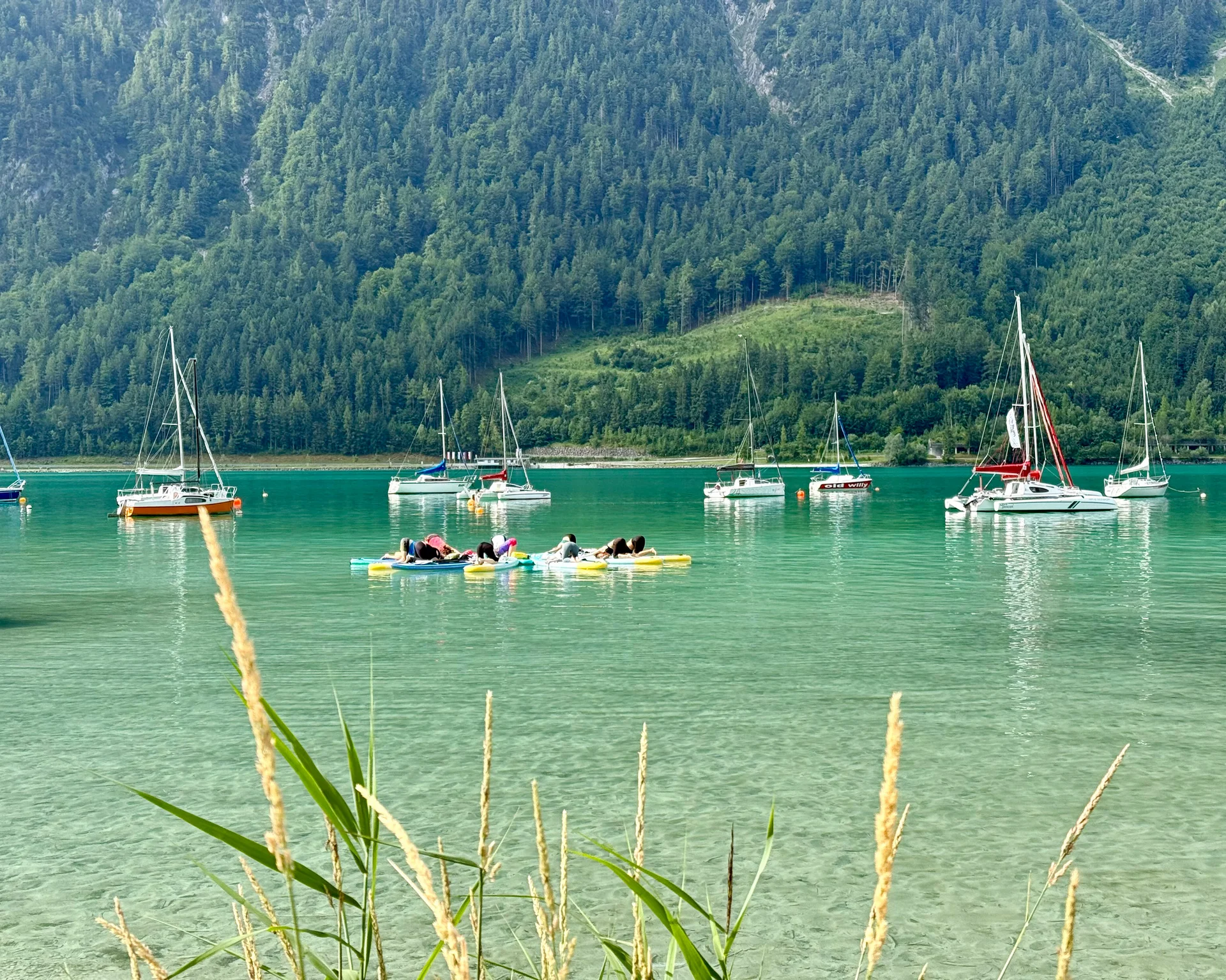 Segelboote auf grünem Bergsee vor bewaldetem Berg