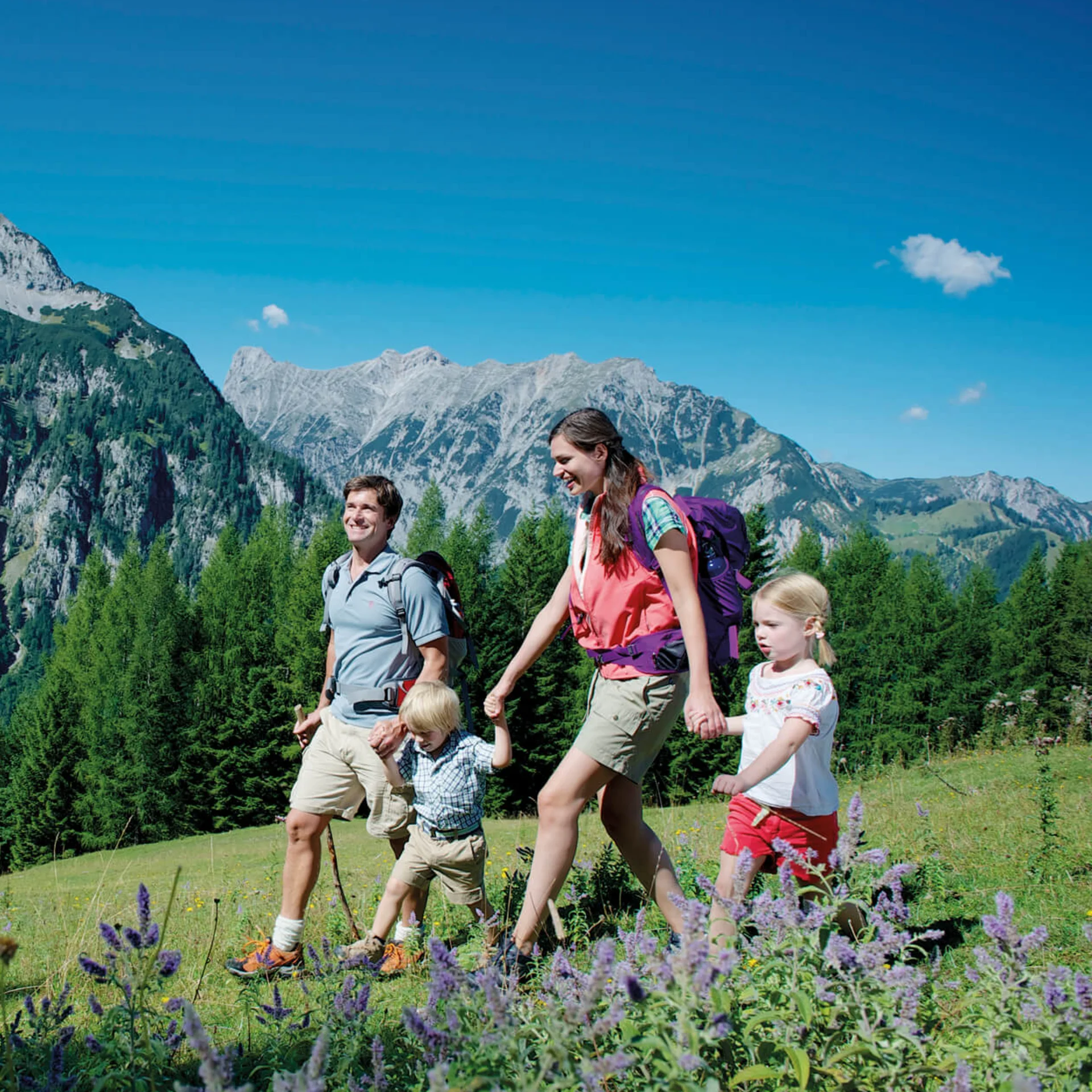 Familie wandert fröhlich auf Bergwiese mit Alpen im Hintergrund